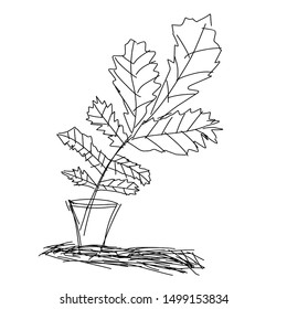 Vector illustration. Dried leaves in a pot. Isolated white background