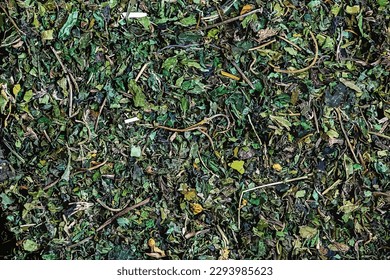 Vector illustration of dried nettle background. Nettle tea is a delicious and healthy drink. Medicinal herbs concept.

