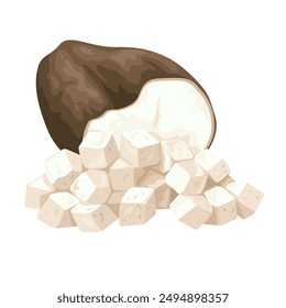 Ilustración vectorial de seta de poria cocos seca, nombre científico Wolfiporia extensa, aislada sobre fondo blanco.