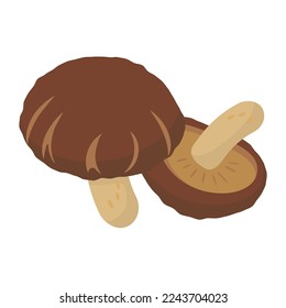 Vector illustration of dried shiitake mushrooms.