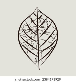 Vektorgrafik von getrocknetem Skelettblatt. Printable Wall Art Room Dekoration