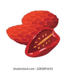 Vector illustration of dried tomato.