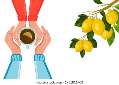 Vector illustration of drinking tea with lemon. Tea time, mug, hands top view. Girl and boy. Green leaves and lemons. Friendly support in difficult times. Conversation with a psychologist