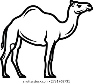 Vector illustration of a dromedary camel standing with line art pack animal dromedary wildlife illustration bactrian herbivore animalia