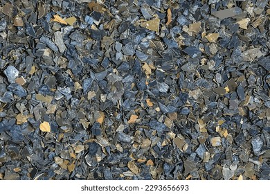 Vector illustration of Dry Laminaria texture background. Dry textured chlorella pattern. Top view
