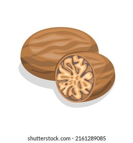 Ilustración vectorial, aislada en un fondo blanco, adecuada para el embalaje y la publicidad de productos de especias.