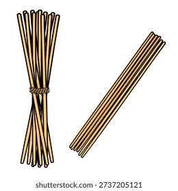 Vector illustration of dry spaghetti pasta bundles and strands, isolated on white background