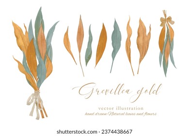 Vector illustration of dry wreath of grevillea gold