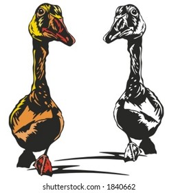 Vector illustration of a duck.