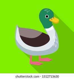 Vector illustration of duck and bird icon. Web element of duck and drake vector icon for stock.