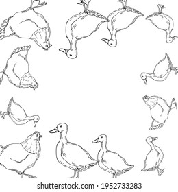ilustración vectorial contorno de pato y pollo,marco,borde,doodle