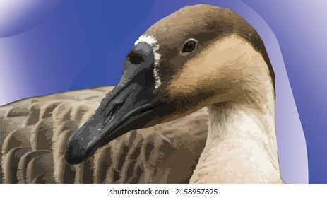 Vector illustration of a duck. Cutout with detail on the head. Eye, beak, feathers. Water bird. Environment, wildlife. Background around a duck in a gradient blue color.