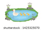 Vector illustration of a duck and ducklings. Mother duck swims in the lake with small ducklings around grass.