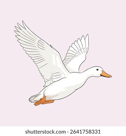 vector illustration of a duck in flight on a white background