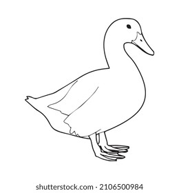 Vector Illustration Of Duck Line Art