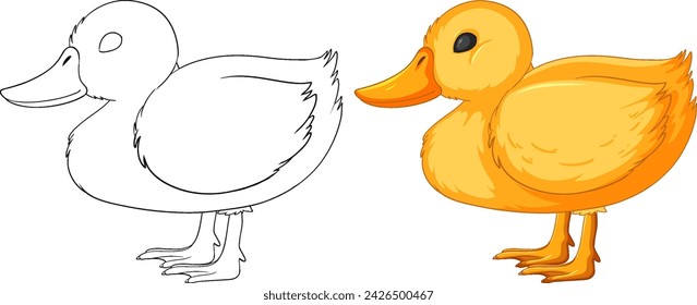 Vector illustration of a duck, from outline to color