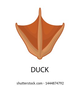 Vector illustration of duck and paw symbol. Set of duck and silhouette stock vector illustration.