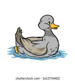 vector illustration of a duck swimming