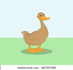 vector illustration of a duck walking in nature, bright background, vector