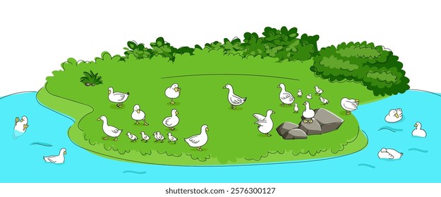 Vector illustration of ducks bathing in the river and ducks playing on the shore