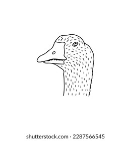 vector illustration of a duck's head