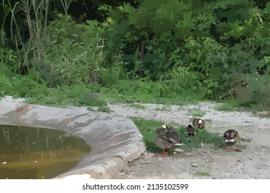 Vector illustration. Ducks standing by a garden pond and in the background the greenery of the garden.