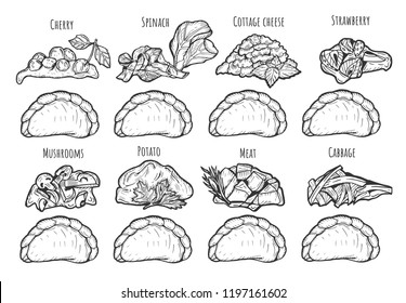 Vector illustration of dumplings with different fillings. Cherry, spinach, cottage cheese, strawberry, mushrooms, mashed potatoes, meat, cabbage. Vintage hand drawn drawing style.