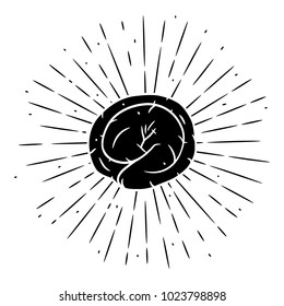 Vector illustration with dumplings and divergent rays. Used for poster, banner, web, t-shirt print, bag print, badges, flyer, logo design and more. 