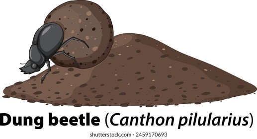 Vector illustration of a dung beetle pushing dung