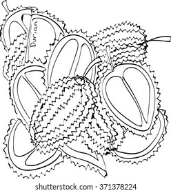 Vector illustration of durian .black and white graphics Linear. Hand drawing. Suitable for t-shirt printing etc. Good or coloring boos