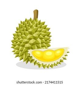 Vector illustration of durian fruit, a fruit that has been called the king of fruits in Southeast Asia. isolated on a white background.