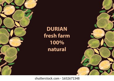 vector illustration of durian and leaf design background brown text fresh farm 100% natural EPS10