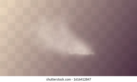 Vector illustration of dust and sand powder explosion scattered isolated on transparent background. Texture of thick desert dust fog. Smoke cloud from forest fire