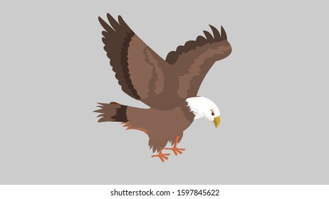the vector illustration of an eagle