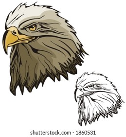 Vector illustration of an eagle.