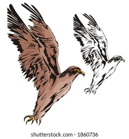 Vector illustration of an eagle.