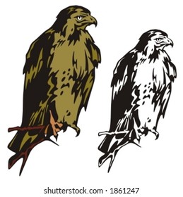 Vector illustration of an eagle.