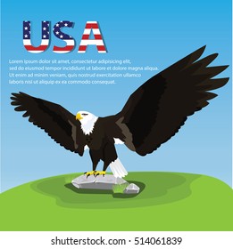 Vector illustration of an Eagle.
