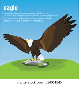 Vector illustration of an Eagle.