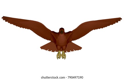 Vector illustration of an eagle 3D. Isolated.