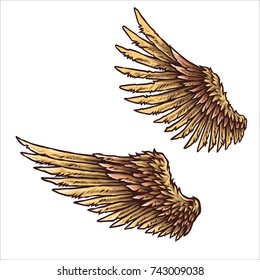 Vector illustration of eagle bird feather wing spreaded