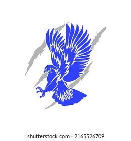 vector illustration of an eagle with claws