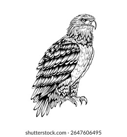 Ilustração vetorial de uma águia desenhada em um estilo de esboço de tinta preta e branca, apresentando detalhes realistas de penas e uma expressão feroz típica de aves de rapina. Adequado para designs de tatuagem, logotipos