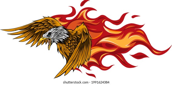 vector illustration of eagle with flames design