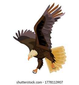 Vector illustration of an eagle flying down to hunt for prey, isolated on a white background..Birds that are flying very beautifully are seen making an interesting object to see.