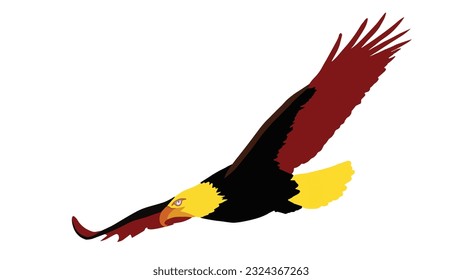 vector illustration of an eagle flying on a white background.