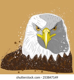 vector illustration of eagle head