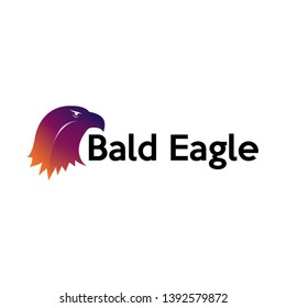 Vector illustration eagle head logo design suitable for animal lovers companies retail