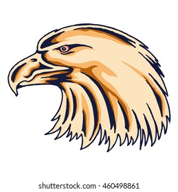 vector illustration of eagle head mascot design