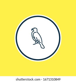 Vector illustration of eagle icon line. Beautiful animals element also can be used as hawk icon element.